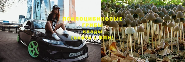 ешки Беломорск