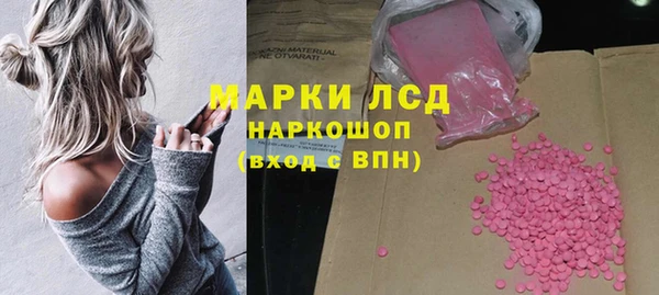 гашик Белокуриха
