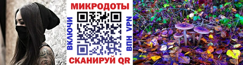 Галлюциногенные грибы мицелий  купить закладку  Светогорск 